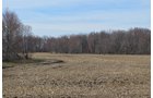 Property photo 94 - REAL ESTATE & PERSONAL PROPERTY AUCTION, 140 Acres offered in 8 Tracts or Combinations in Steuben County